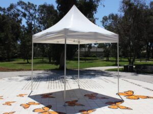 A white pop-up tent stands on a tiled surface decorated with orange butterfly designs. Trees and grass are visible in the background under a clear blue sky. Shadows from the tent extend across the ground.