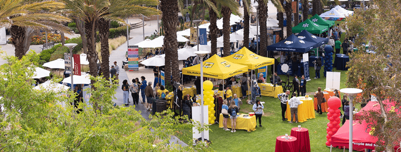custom canopies outdoor market