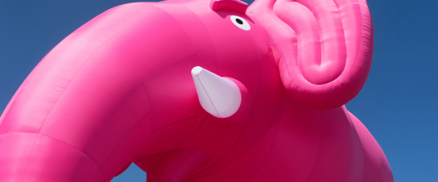Inflatable animals