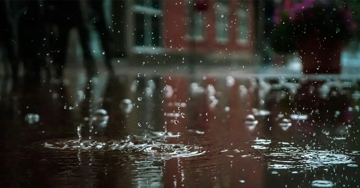 Raindrops on the street