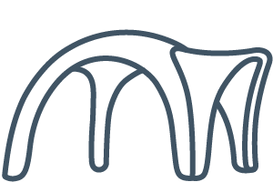 A simple line drawing of an abstract, arched structure with four curved legs and a flowing, organic shape.